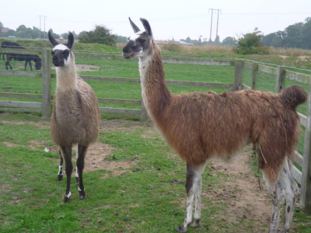 Barmston Farm Hotel Kingston upon Hull Luaran gambar